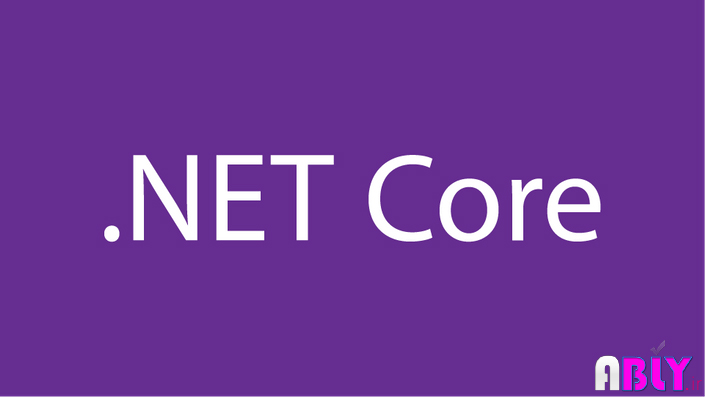 net core