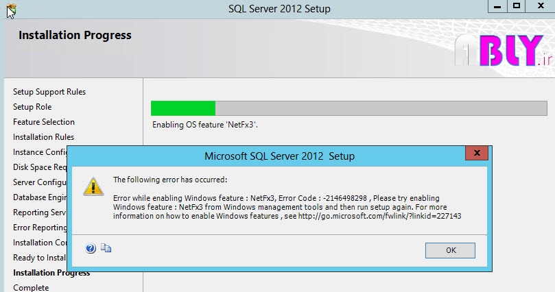 netfx3 error in sql