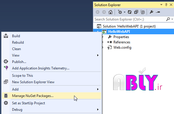 open nuget in web api