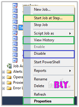 step7-execute-job.png